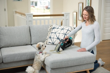 Using Pet Stain Eraser Duo to clean couch cushions with dog looking on.