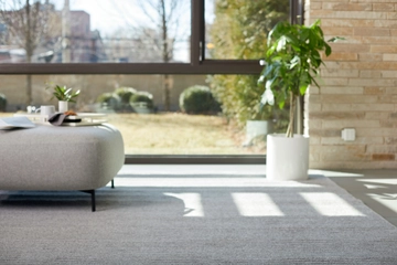 living room with area rug and sofa.  
