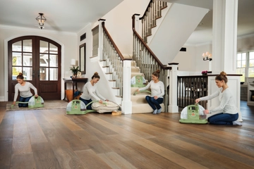 Using Little Green Portable Carpet Cleaner on several surfaces throughout the home.