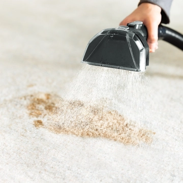Using tool at end of hose of carpet cleaner to spray a spill on carpet.