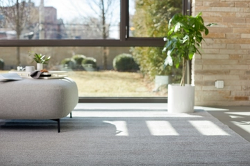 Living room with carpet.