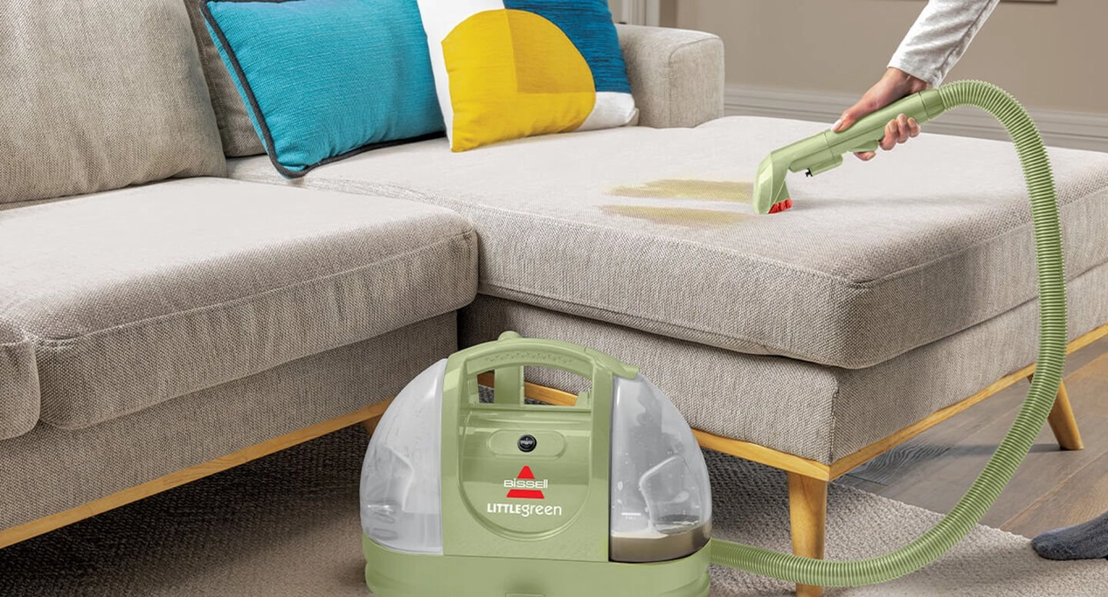 How to Get Rid of Cat Pee Smell on Your Carpets & Upholstery