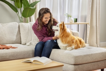 Woman and dog sitting on couch