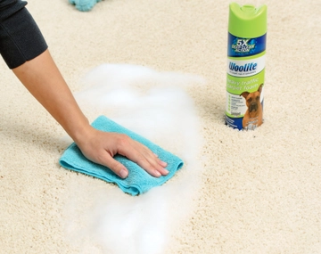 Woolite® Heavy Traffic® carpet foam being used to clean pet stain off carpet.