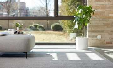 Living room with area rug and couch. 
