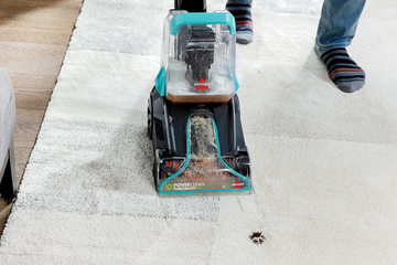 Deep Cleaning mudding paw prints from area rug.