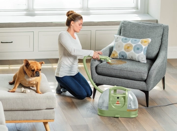 Using Little Green Machine to clean stain on cushion with dog nearby.