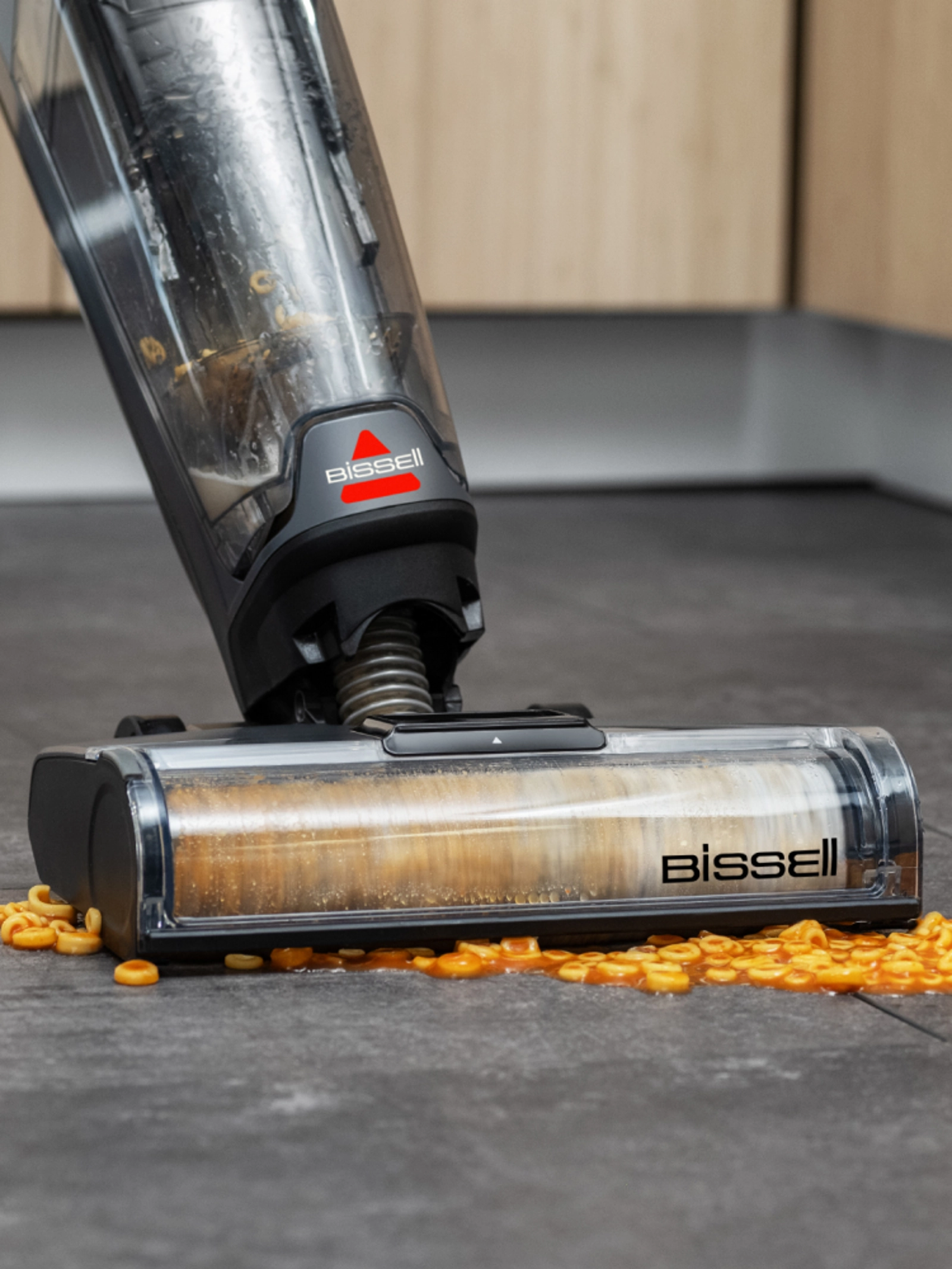 Bissell For Sale