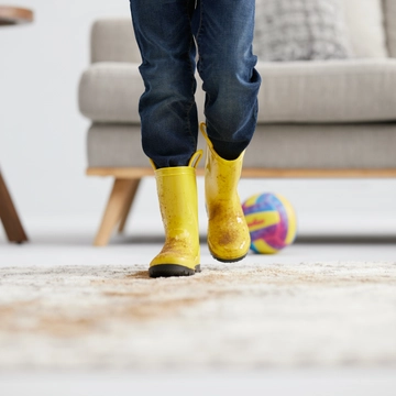 Muddy Boots running across carpet.