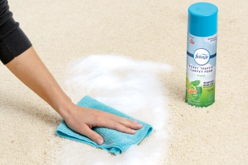 Woolite Foam blotting stain on carpet