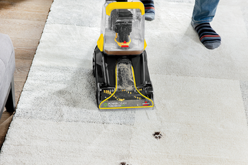 Deep Cleaning mudding paw prints from area rug.