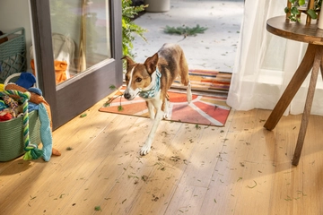  Pet_Proven_Trails_Hero_07_0044_RGB