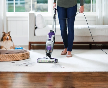 Using CrossWave Pet Pro Wet Dry Vac to refresh area rug with dog nearby in pet bed.
