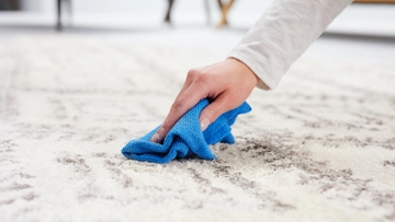 Person blotting stain off area rug with towel and OXY Stain Pretreat. 