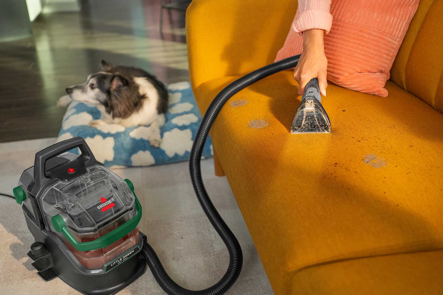 Pet_Proof_Couch_lgpp_1500x1000.jpg