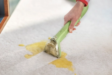 Little Green Mini deep cleaning spill on carpet