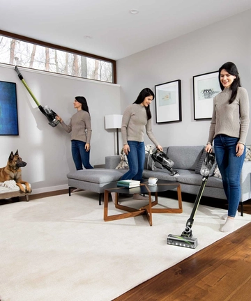 Using ICONPET TURBO EDGE STICK VAC Above floors, hand vac, and vacuum.