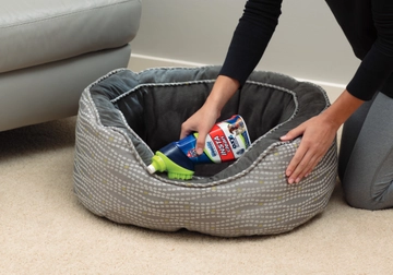 Woolite INSTAclean Stain Remover cleaning pet bed