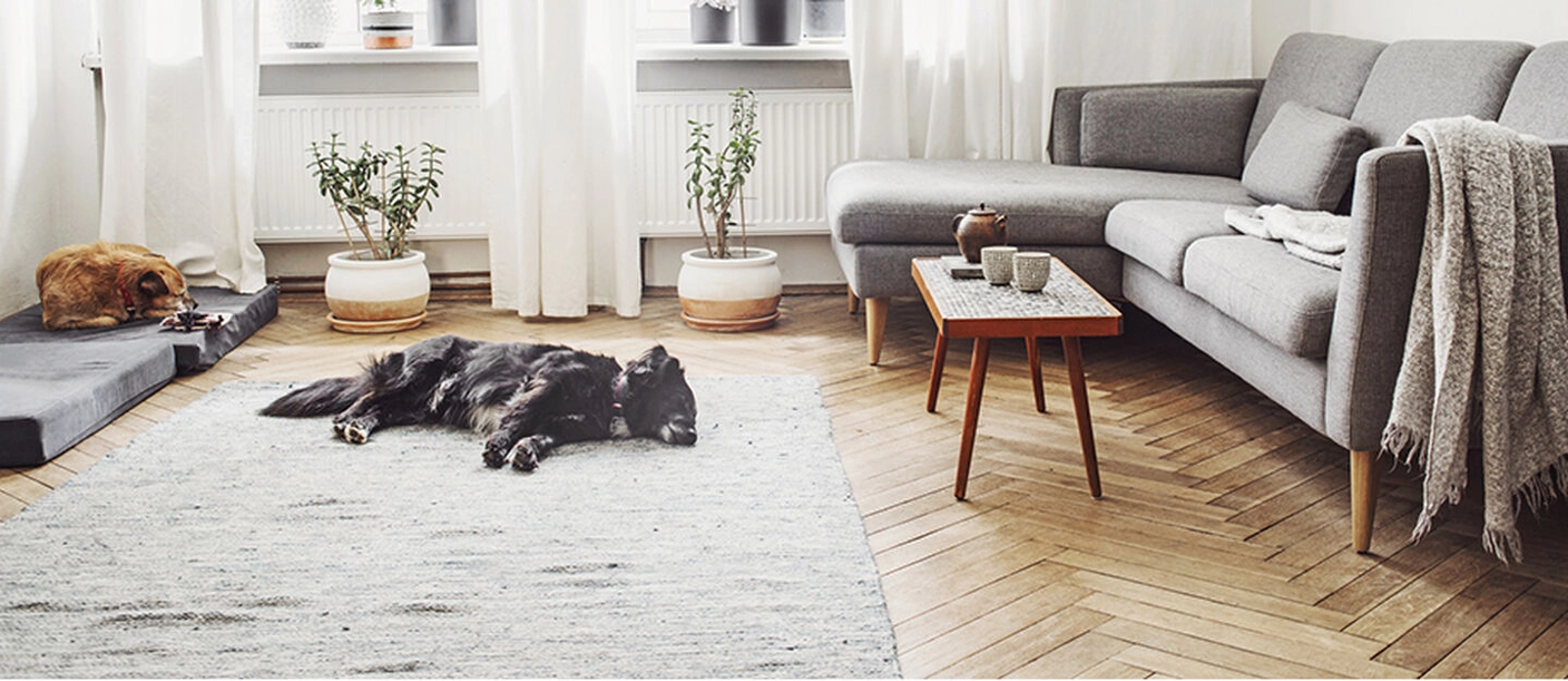 Multi Surface by BISSELL