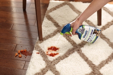 Woolite® Free & Clear Pet Stain & Odor Remover Pretreat being sprayed on spaghetti sauce stain on area rug.