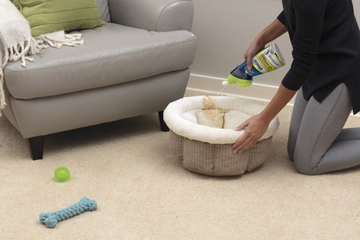Woolite Carpet Pet Urine Eliminator cleaning pet stain off dog bed.