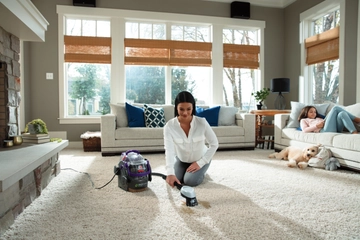 SpotClean Pet Pro Portable carpet cleaner deep cleaning pet stain on carpet