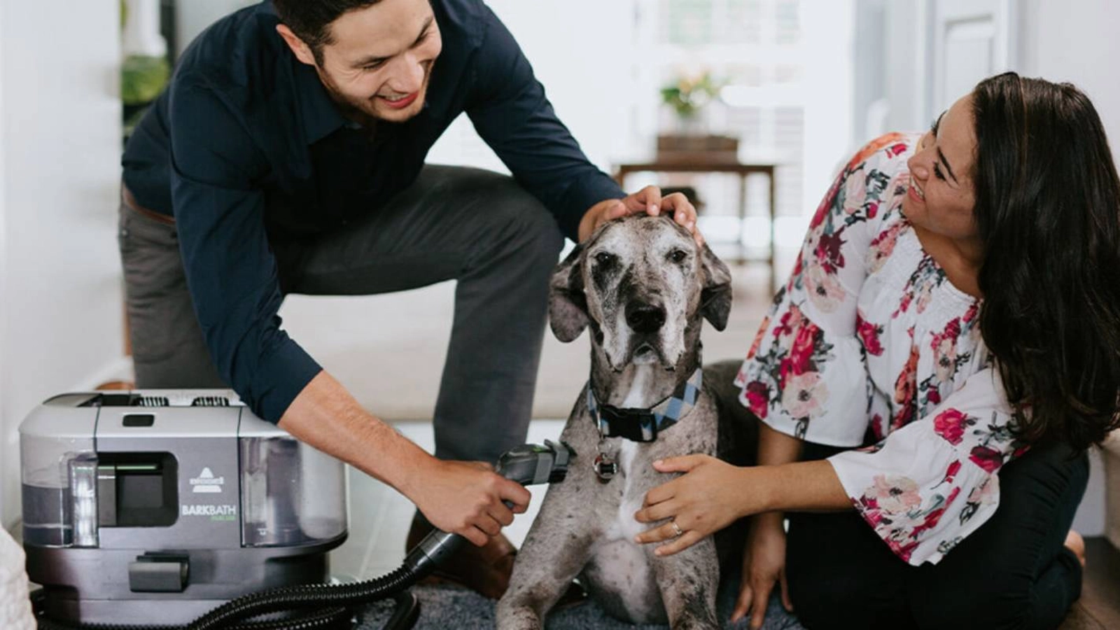 NoRinse Dog Shampoo BISSELL®