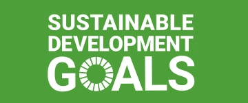 United Nations Sustainable Development Goal logo