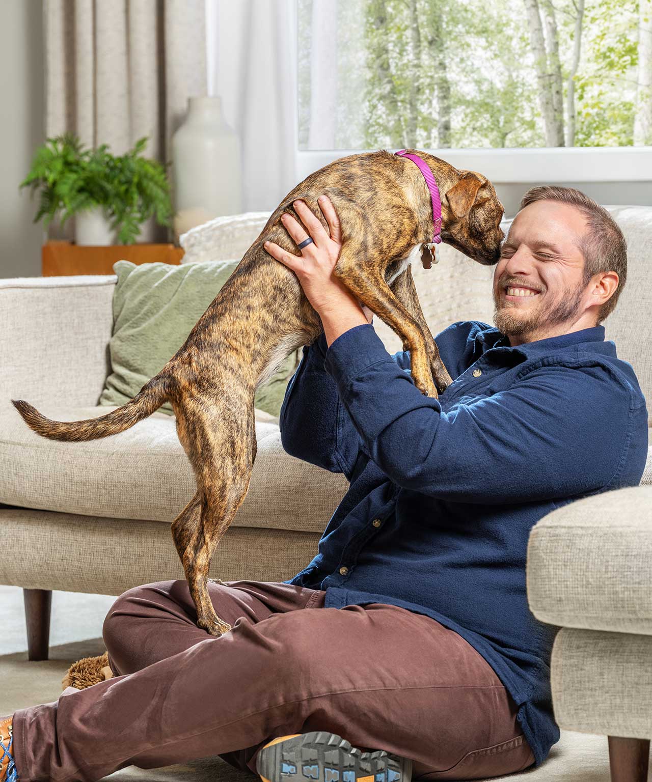 Pet_proven_cute_pet_1280x1536.jpg