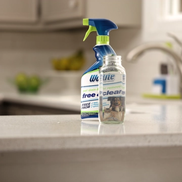 Woolite® Free & Clear Pet Stain & Odor Remover Pretreat on counter.