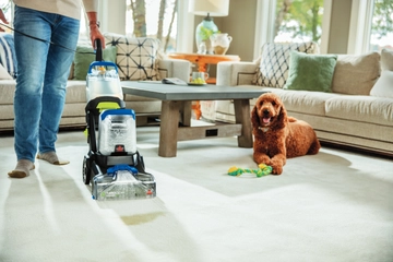 Using TurboClean DualPro Pet Carpet Cleaner to clean pet accident on carpet with dog nearby.
