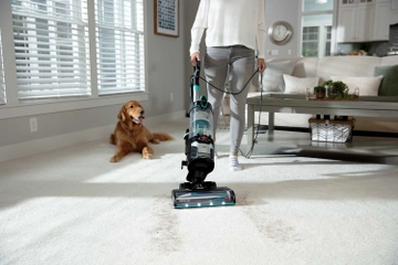 Vacuuming pet hair from carpet