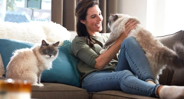 How to Get Rid of Cat Pee Smell on Your Carpets & Upholstery