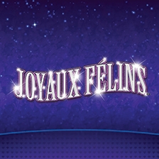 joyaux-felins-fr-thumb.jpg