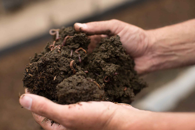 2. PLOUGHING SOIL WITH EARTHWORMS