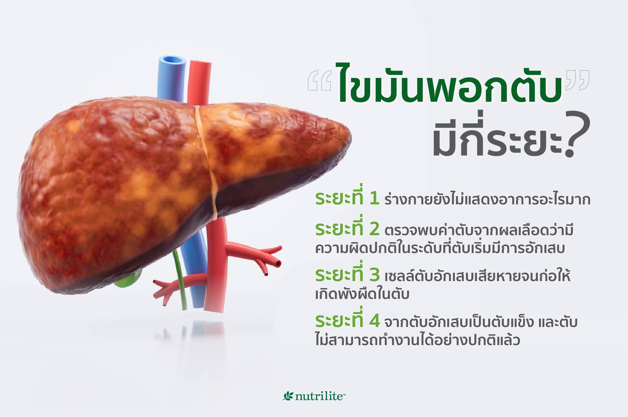 Amway_-_Mar_Article_6_(re-op)_(ไขมัน_พอก_ตับ)_Content.jpg