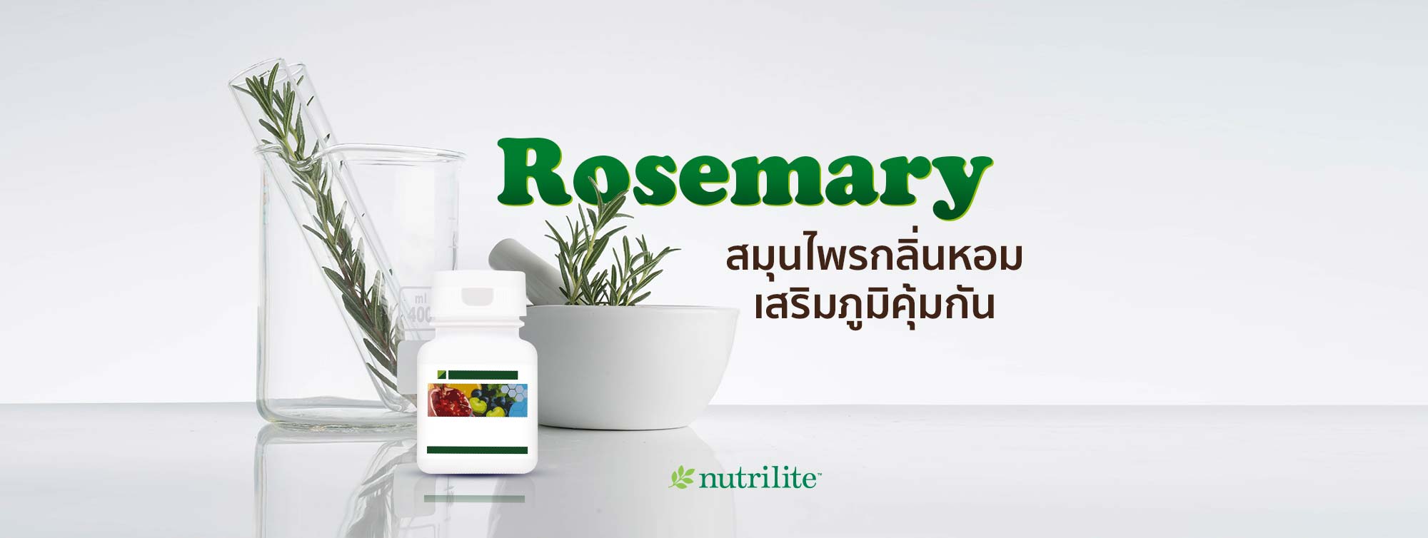 Rosemary (โรสแมรี) สมุนไพรกลิ่นหอม เสริมภูมิคุ้มกัน