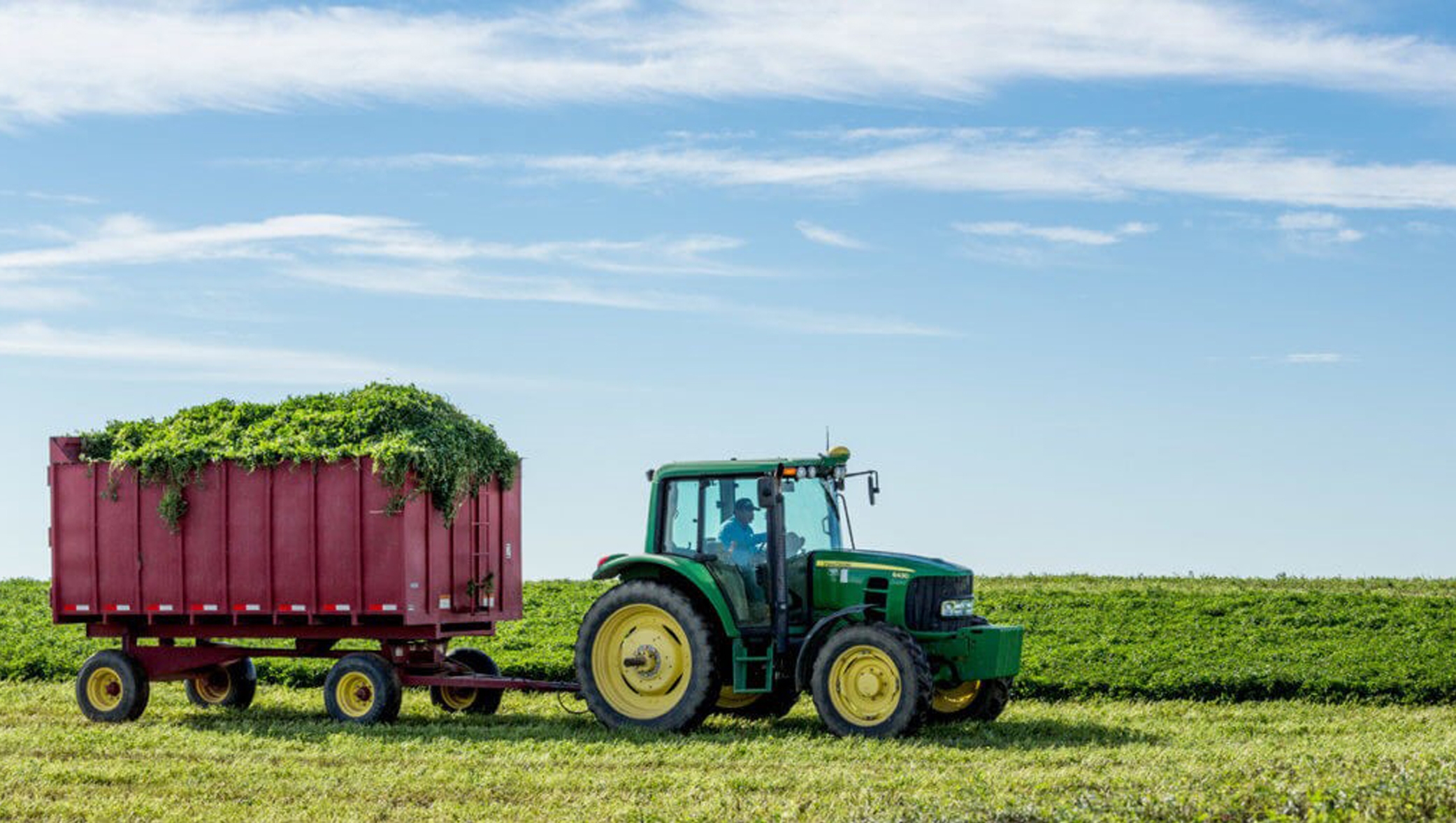 FROM SEED TO SUPPLEMENT: WHY NUTRILITE?