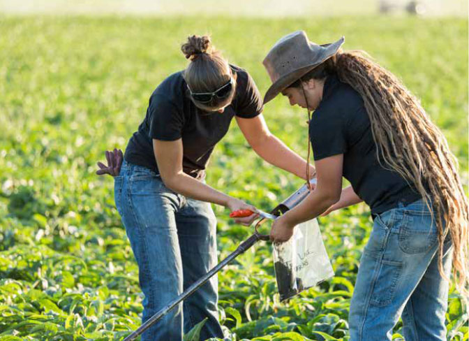 1. ENHANCING SOIL WITH NITROGEN