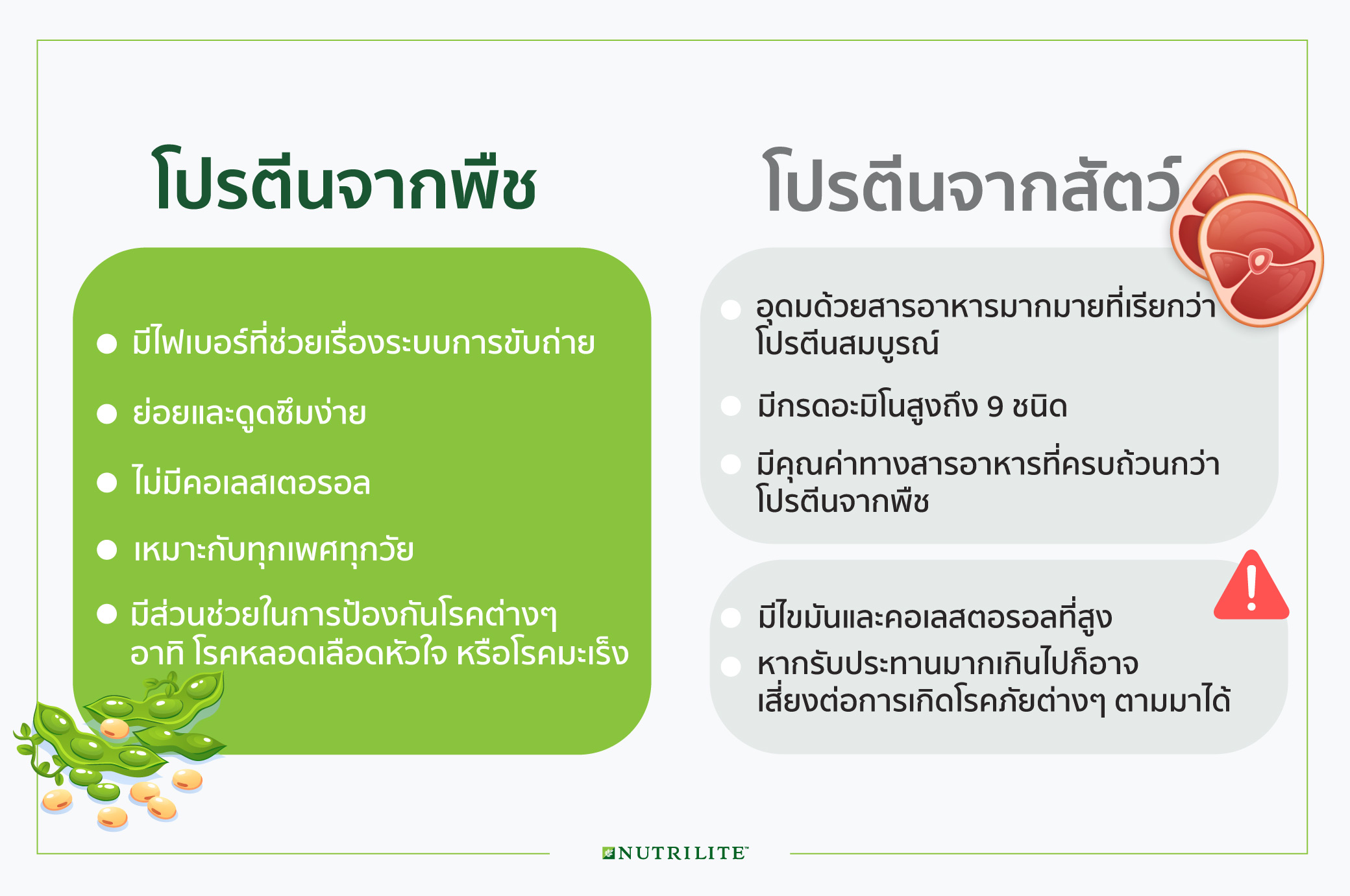 กินโปรตีนจากพืชอย่างไรให้ได้ประโยชน์ | Nutrilite™ Thailand