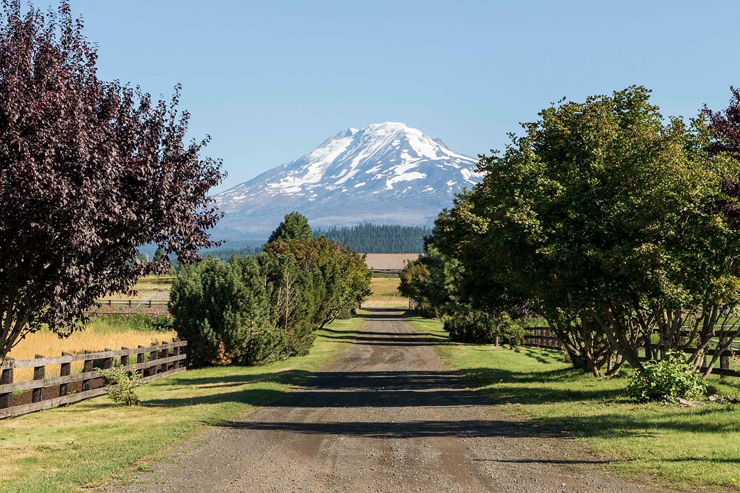 Mineral-Rich Glacier Run-off Feeds Organic Farms