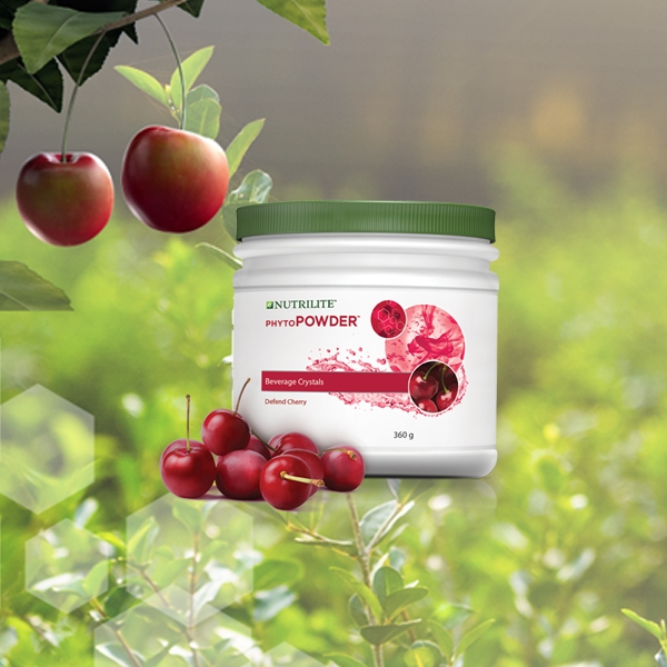 TPBS Nutrilite PhytoPowder - Bột Uống Tăng Cường Sức Đề Kháng Vị Cherry (Hộp Nhựa)
