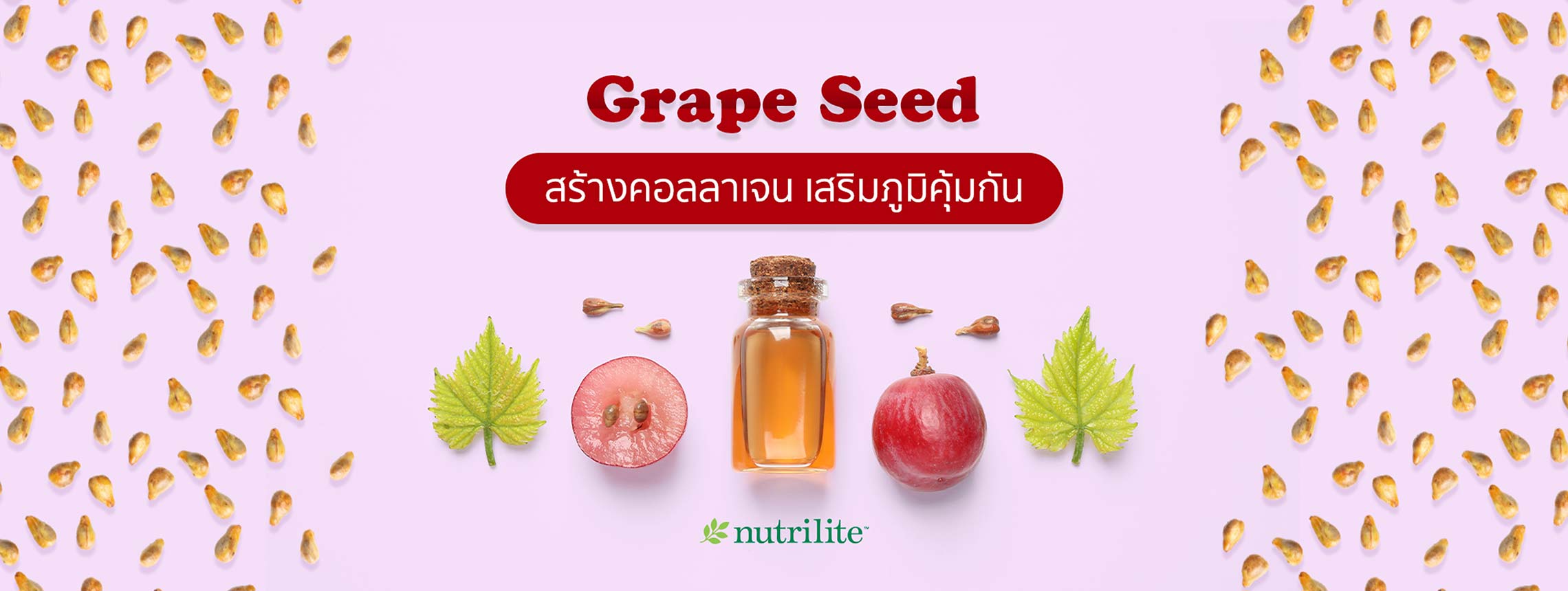 Grape Seed สารสกัดจากเมล็ดองุ่น สร้างคอลลาเจน เสริมภูมิคุ้มกัน
