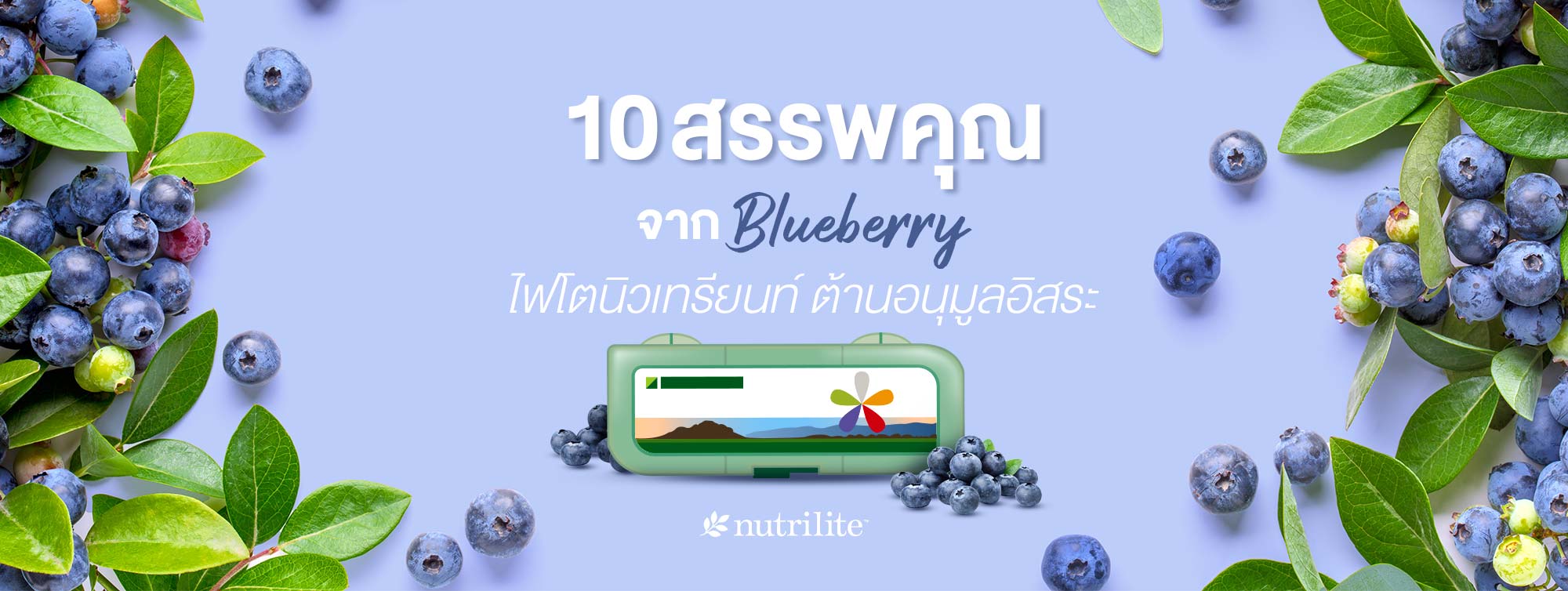 10 สรรพคุณจาก Blueberry ไฟโตนิวเทรียนท์ ต้านอนุมูลอิสระ