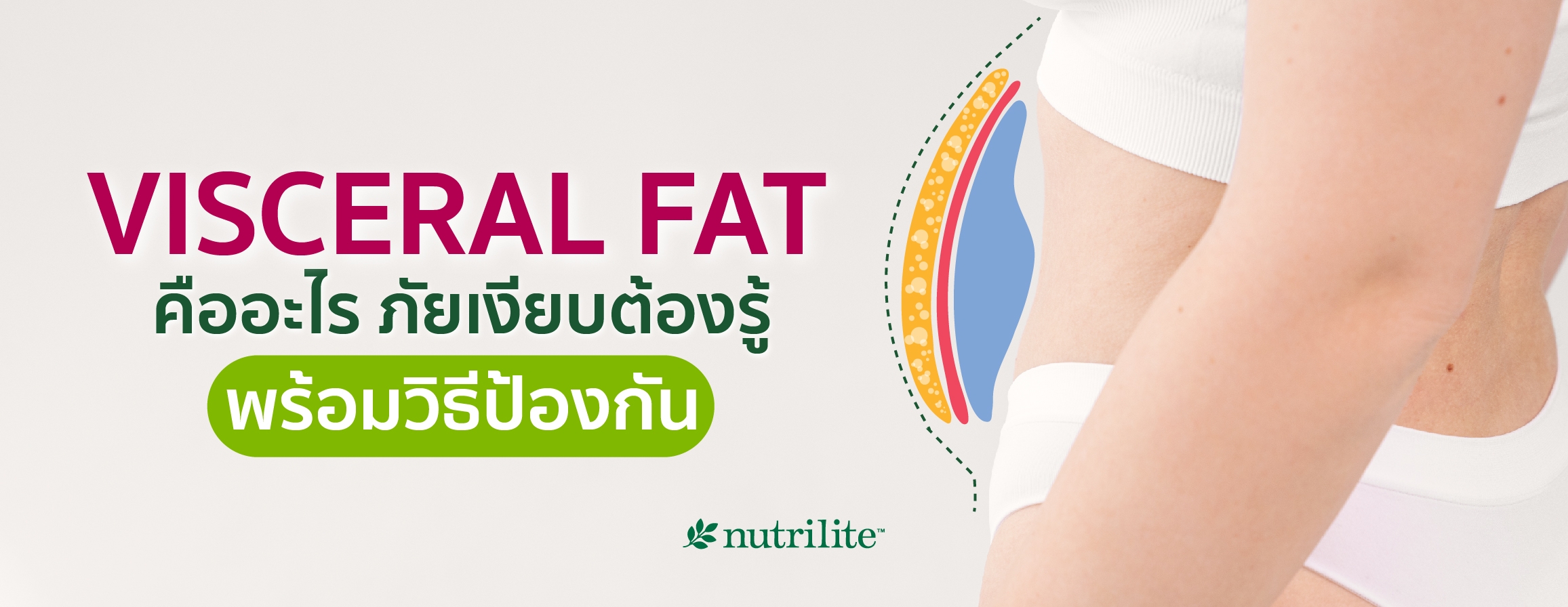 VISCERAL FAT คืออะไร? ภัยเงียบต้องรู้ พร้อมวิธีป้องกัน