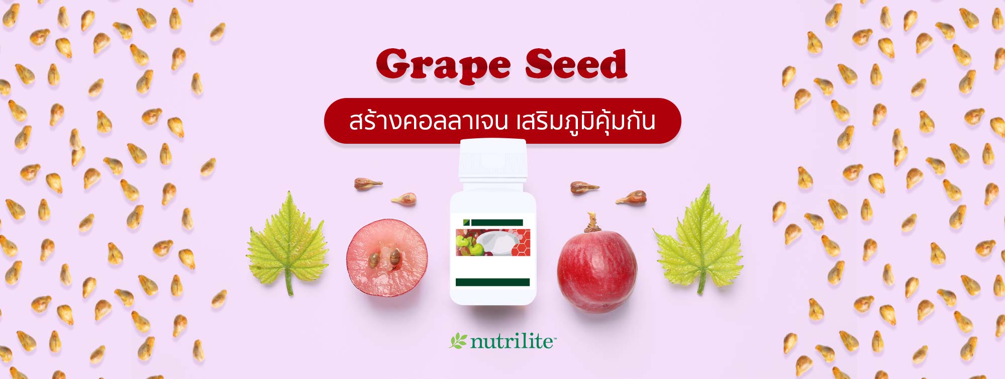 Grape Seed สารสกัดจากเมล็ดองุ่น สร้างคอลลาเจน เสริมภูมิคุ้มกัน