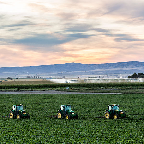 Our Farms Set Us Apart