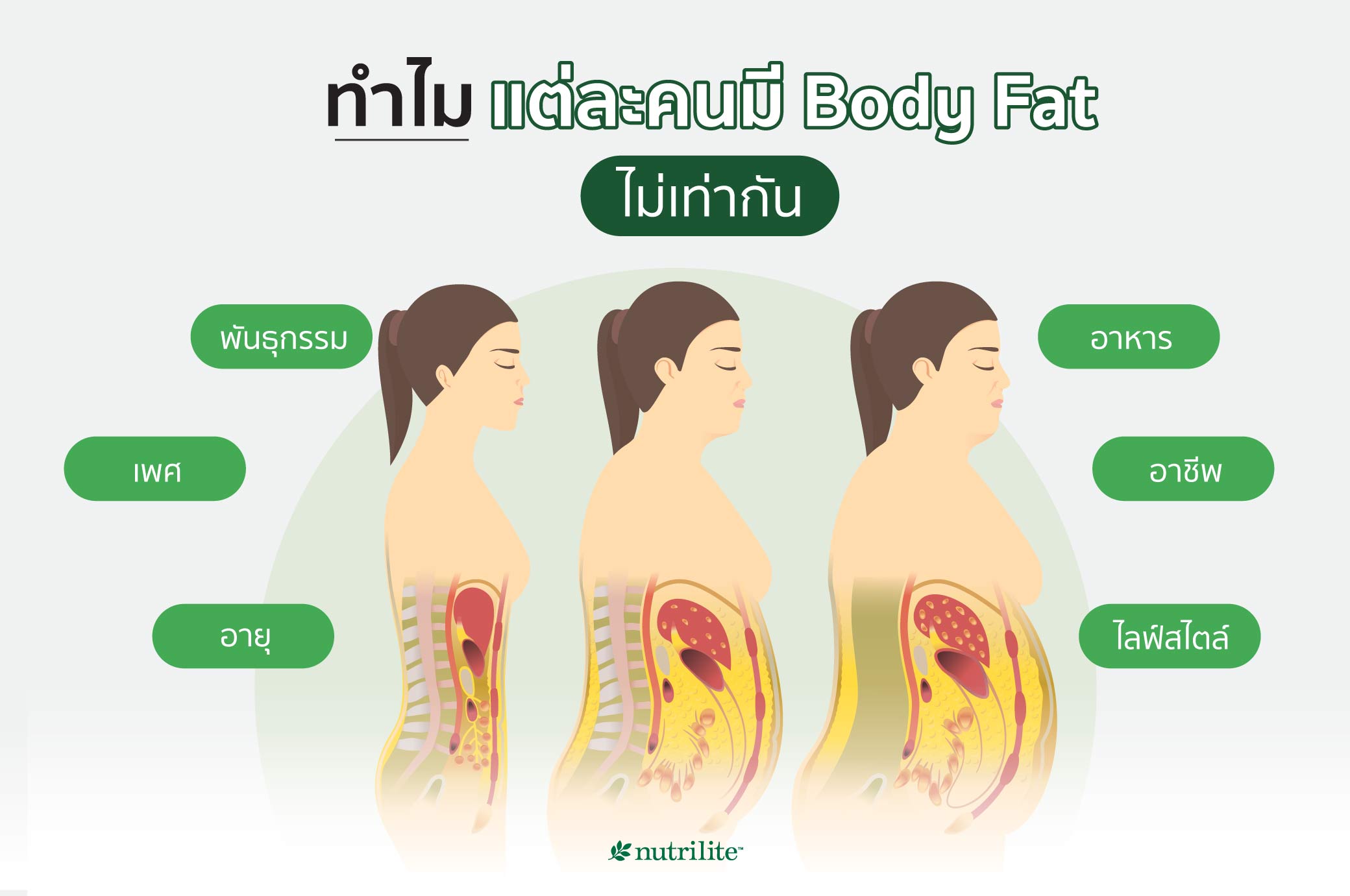 ทำไมแต่ละคนมี Body Fat ไม่เท่ากัน?