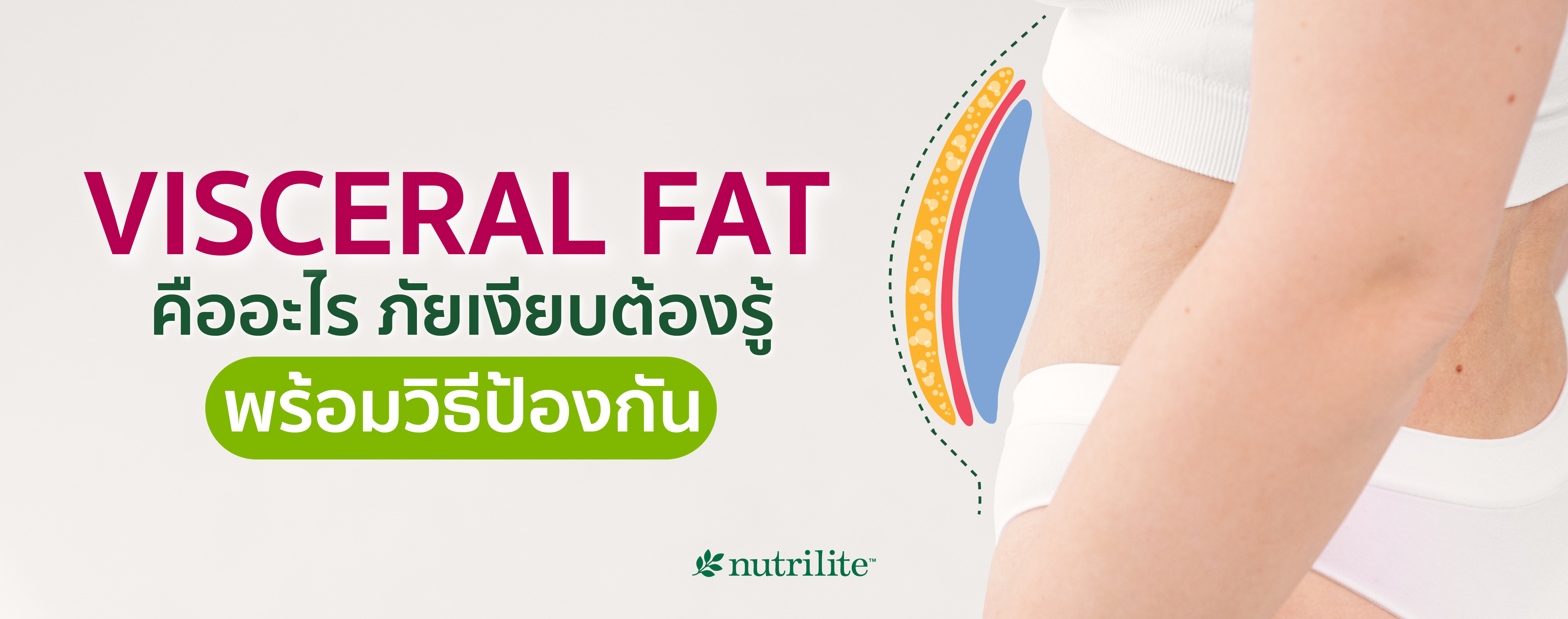 VISCERAL FAT คืออะไร? ภัยเงียบต้องรู้ พร้อมวิธีป้องกัน