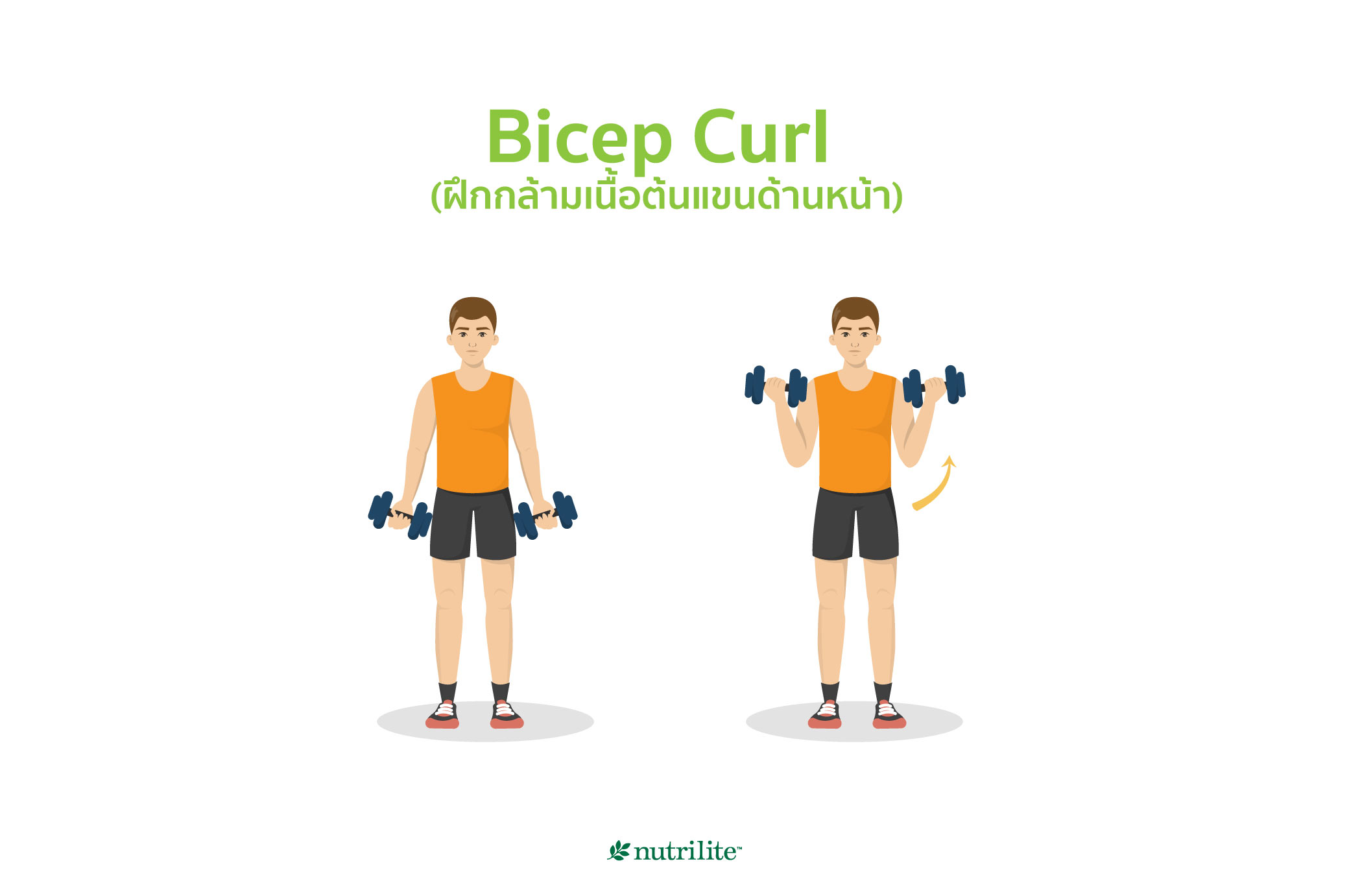 Bicep Curl (ฝึกกล้ามเนื้อต้นแขนด้านหน้า)